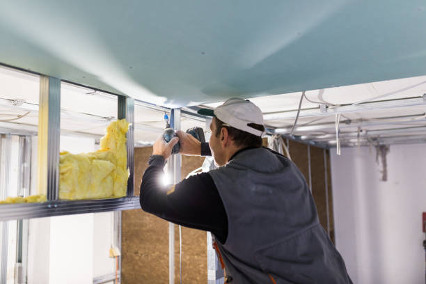 Best Types of Insulation in Pine Level, AL