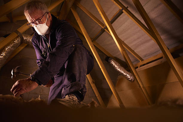  Pine Level, AL Insulation Contractor Pros